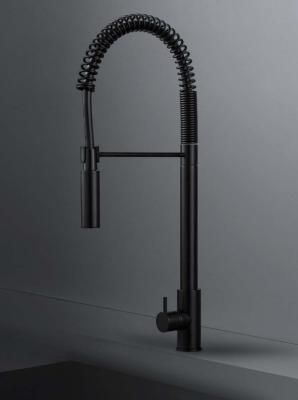 Waterevolution Flow semiprofessioneller Küchenmischer matt schwarz mit Säule und Feder T157PR