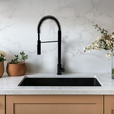 Waterevolution Flow semiprofessioneller Küchenmischer matt schwarz mit Säule und Feder T157PR