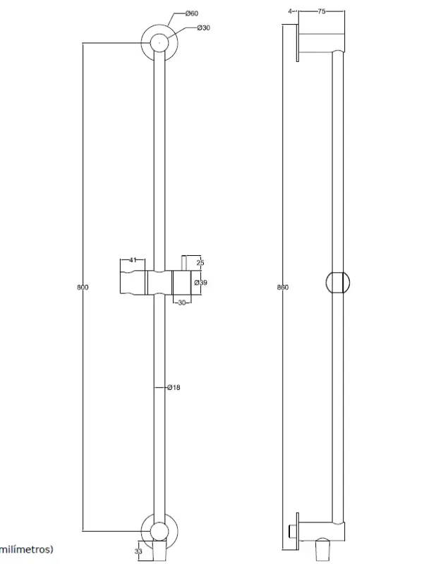 Waterevolution Flow Duschstangen-Set mit Handbrause 800mm Edelstahl T1661IE