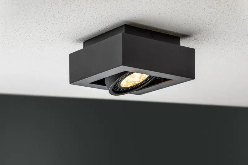 Decor Loid funktionelle schwarze Deckenleuchte mit 1 Leuchtmittel 4687